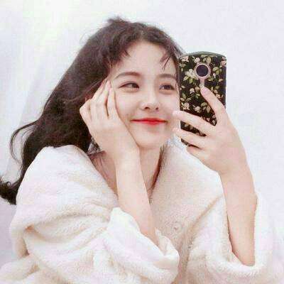 半岛官方入口app